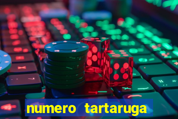 numero tartaruga jogo do bicho